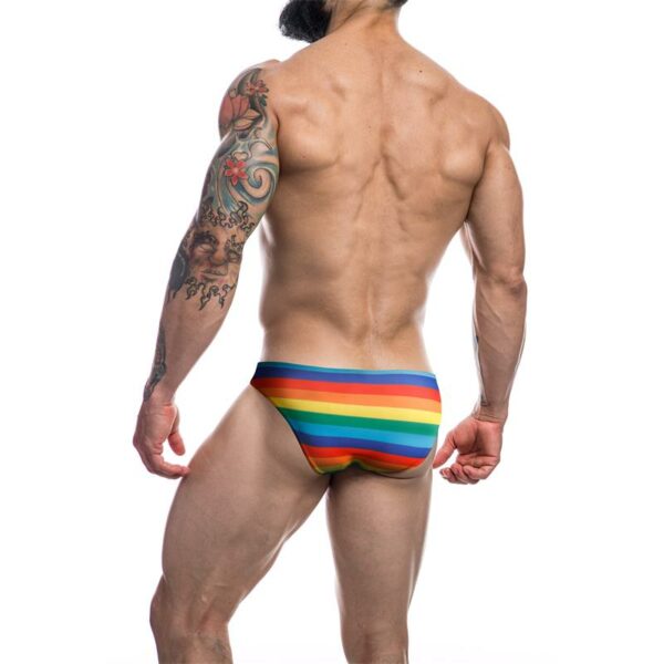 C4M01 Low Rise Bikini Brief Rainbow - Image 3