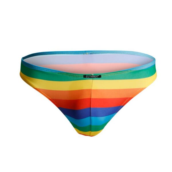C4M01 Low Rise Bikini Brief Rainbow - Image 6