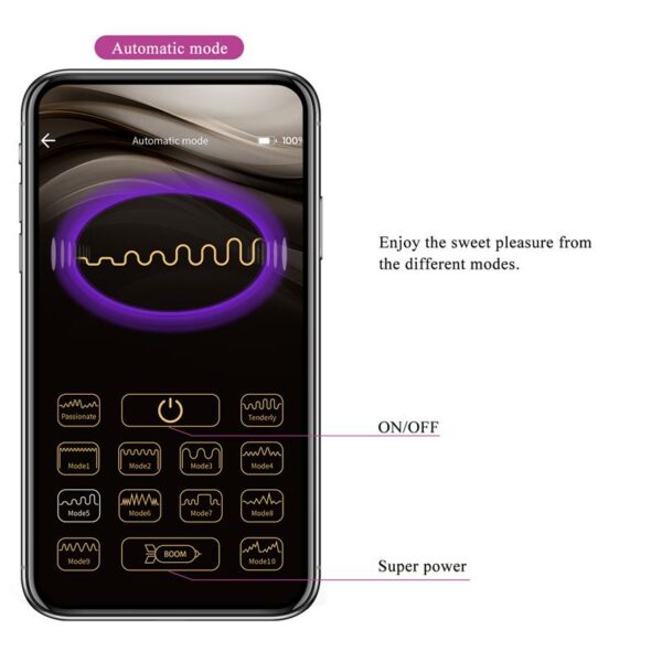 Jayleen Couples Toy with App - Image 15