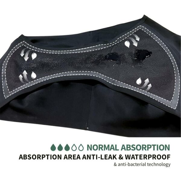 Ocean Menstrual Panty Normal - Image 5