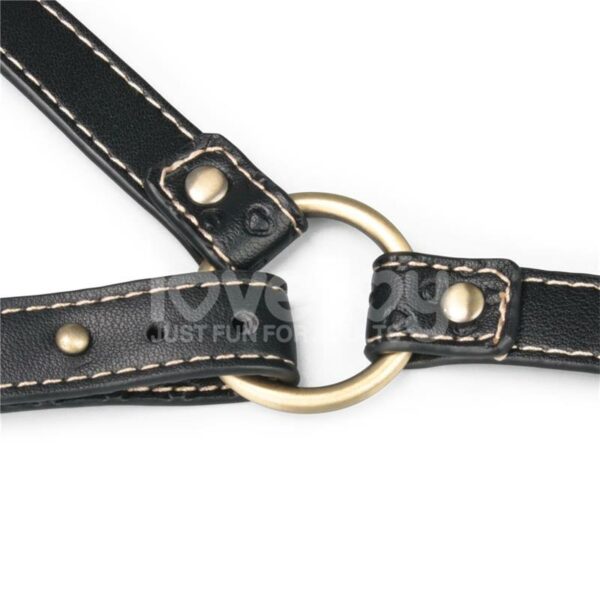 Rebellion Reign Full Body Harness - Image 14