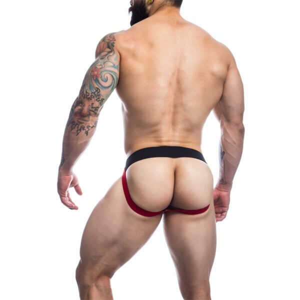Stripe-Pride Jockstrap Pride Flag - Image 6