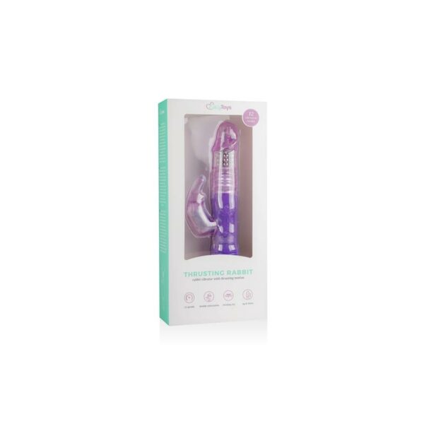 Rabbit Vibrator Thrusting and Rotating Balls  Purple - Image 6
