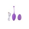 Vibrating Egg Remote Control Sweety Teaser USB 5.7 - Image 4