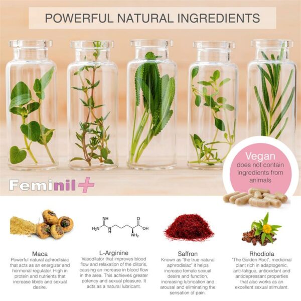Feminil+ Capsules - Image 4